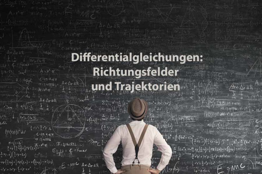 Mathematik 2 | Differentialgleichungen: Richtungsfelder und Trajektorien