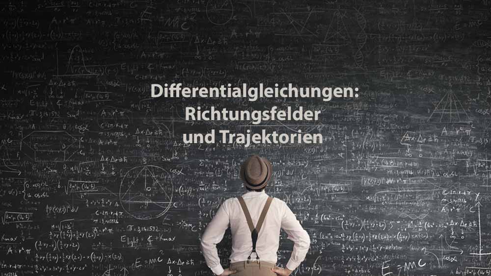 Mathematik 2 | Differentialgleichungen: Richtungsfelder und Trajektorien