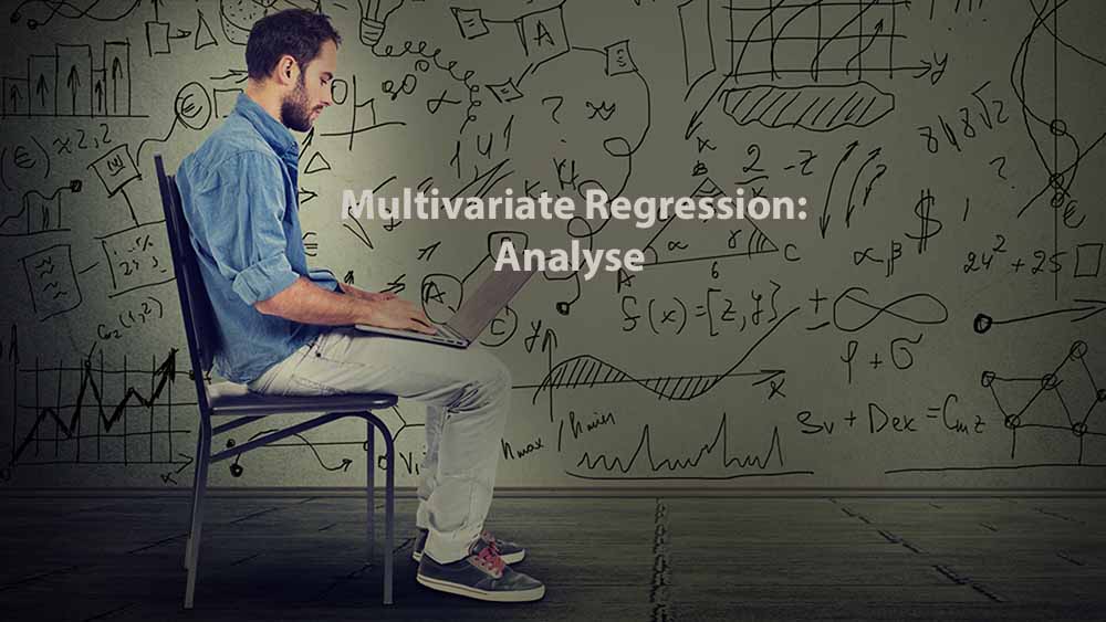 Data Analysis | Multivariate Regression: Analyse