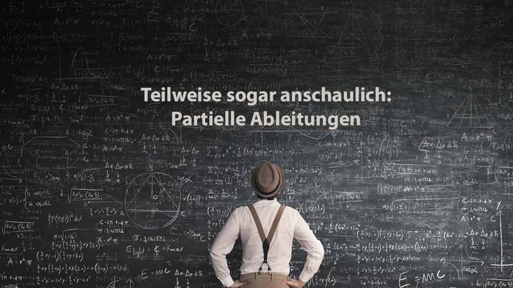 Mathematik 2 | Teilweise sogar anschaulich: Partielle Ableitungen