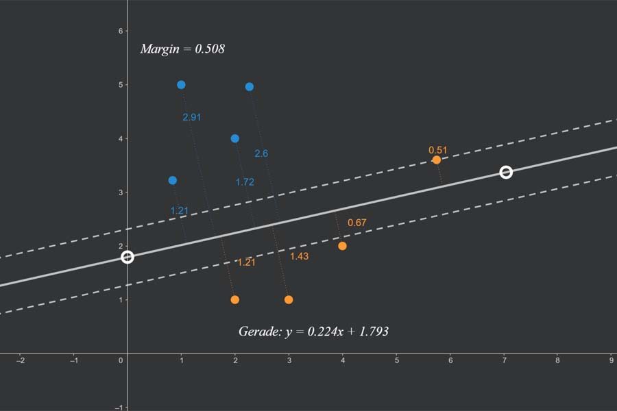 Interaktiv: Maximal Margin Classifier